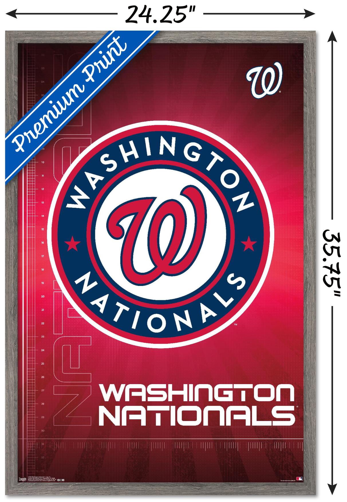 MLB Washington Nationals - Logo 16 Wall Poster, 22.375" x 34", Framed
