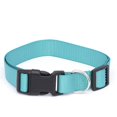Pet Champion Classic Dog Collar