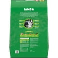 thumbnail image 3 of Iams Proactive Health Minichunks Adult Small Kibble Dry Dog Food With Real Chicken, 44 Lb. Bag, 3 of 12