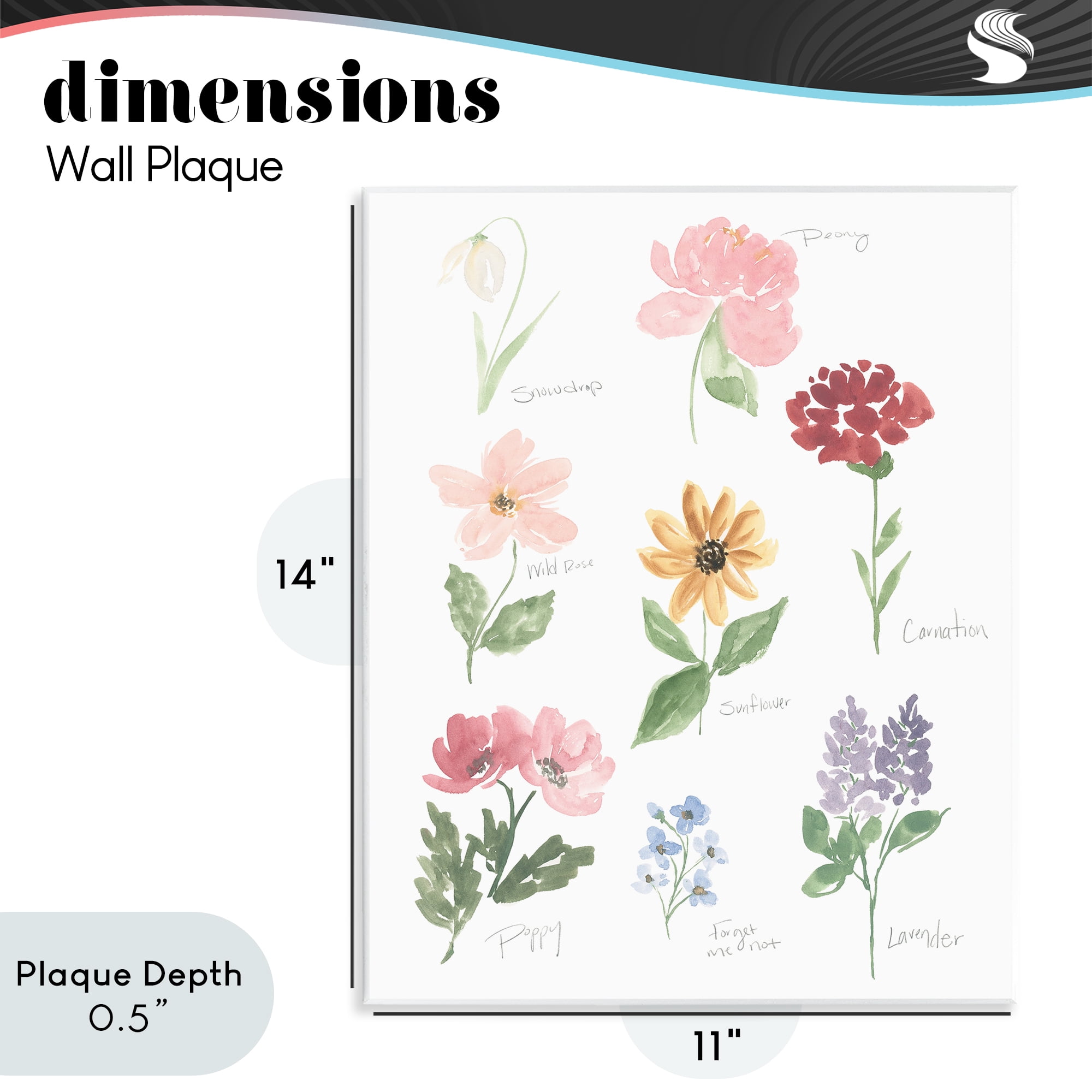Stupell Industries Labeled Flower Varieties Wall Plaque Art, design by Lucille Price
