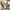Marble, variant on Lofka Glass Dining Table Set for 4, Dining Room Sets with 4 Back Support Chairs for Dinner, Black