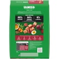 thumbnail image 3 of IAMS Proactive Health High Protein Dry Dog Food With Chicken & Beef, 15 Lb Bag, 3 of 7