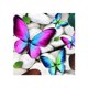 thumbnail image 1 of 5D DIY Hada Mariposa Rosa Flor Pintura de diamantes de imitación Costura Floral Bordado de diamantes Imágenes Decoración de punto de cruz Jumpingount JJ15242-01, 1 of 6