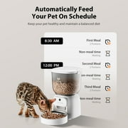 IMIPAW 4L Smart Cat Feeder with HD Camera, Programmable Timer, Automatic Food Dispenser, Voice Recorder, App Control