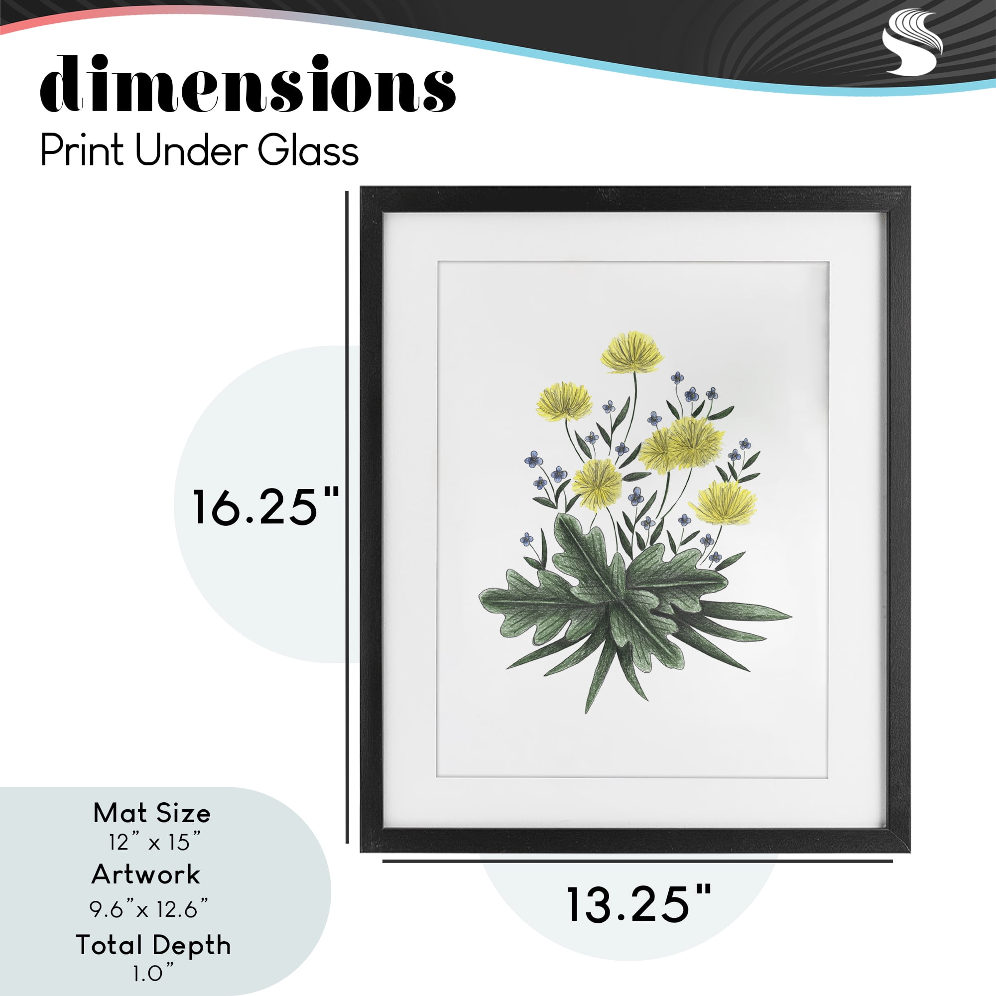 Dandelion Flower Illustration Black Framed Print Under Glass, design by Cecilia Battaini