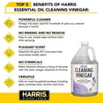 thumbnail image 4 of Harris Lavender Scent Concentrated All Purpose Cleaning Vinegar Liquid 128 oz, 4 of 7