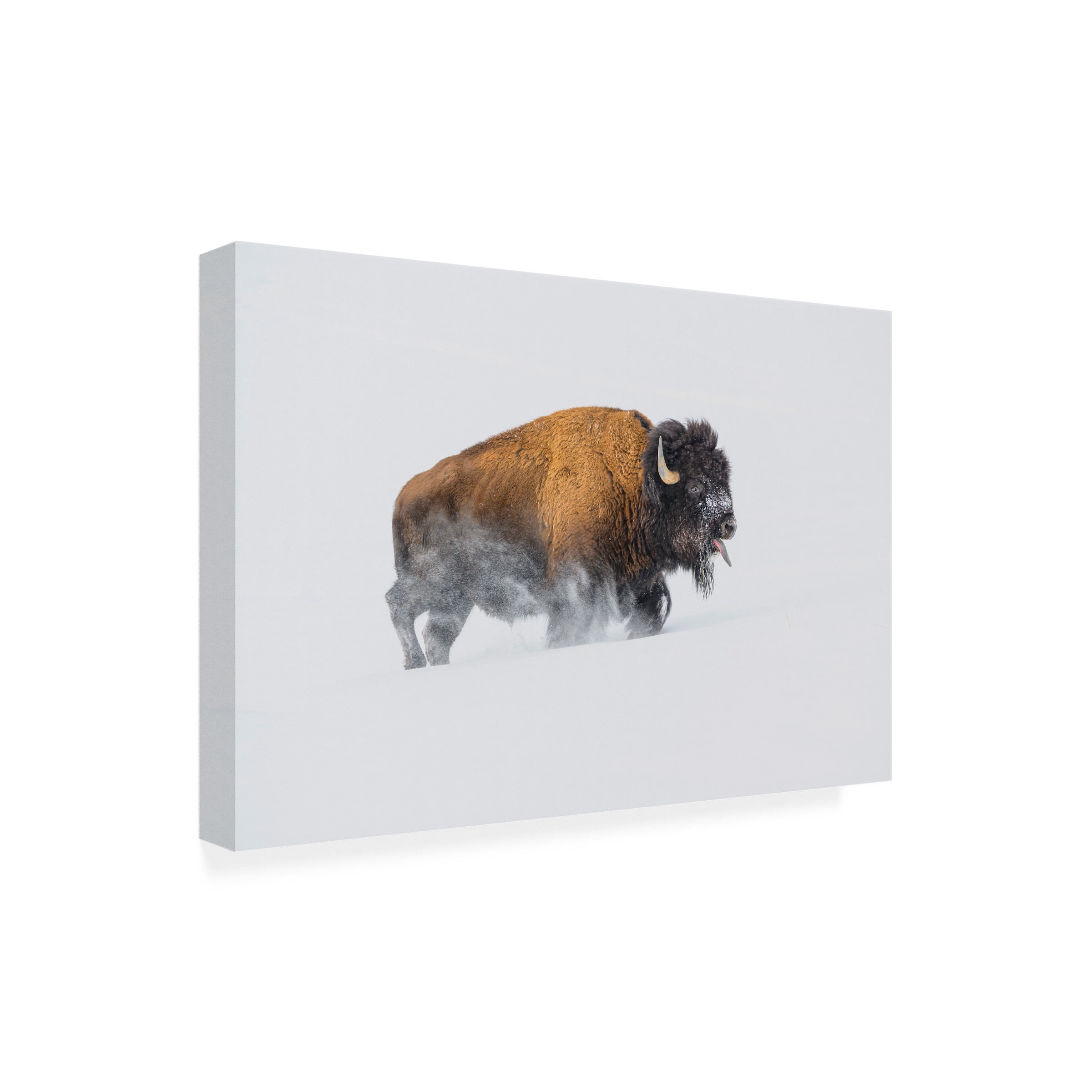 Debbie Hunt 'Bison In The Snow' Canvas Art