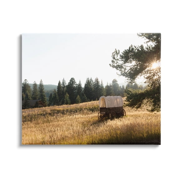 Stupell Times Past Rural Country Carriage Landscape Photography Gallery Wrapped Canvas Print Wall Art