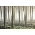 thumbnail image 2 of Carozzi, Fiorenzo 24x17 Black Ornate Wood Framed with Double Matting Museum Art Print Titled - Small woodland, 2 of 4