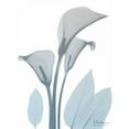thumbnail image 3 of Koetsier, Albert 12x14 Black Modern Framed Museum Art Print Titled - Serene Calla Lily, 3 of 5