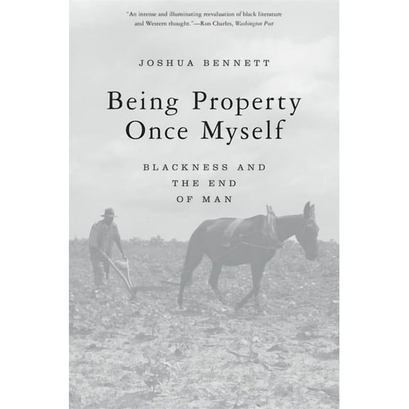 Being Property Once Myself: Blackness and the End of Man, (Paperback)