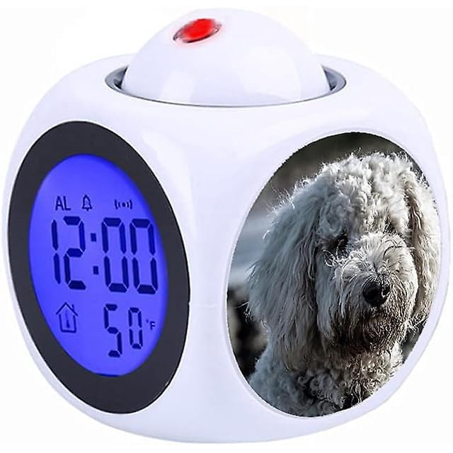 Child White Projection Digital Weather LCD Clock Bell Alarm Display Backlight Projector Home Clock Timer Adult White Toy Poodle on Selective Focus