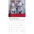thumbnail image 4 of Puppy Pals | 2026 12x24" (Hanging) Monthly Square Wall Calendar | Plato, 4 of 9