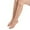 212### Complexion, variant on 8 Pairs Compression Stockings for Women Sheer Knee High Stockings(White)