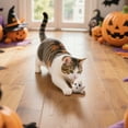 thumbnail image 5 of SugarBloom Halloween Catnip Plush Toys for Cats - Soft & Safe Interactive Cat Toys, Perfect for Indoor Play, Exercise & Boredom Relief,white, 5 of 5