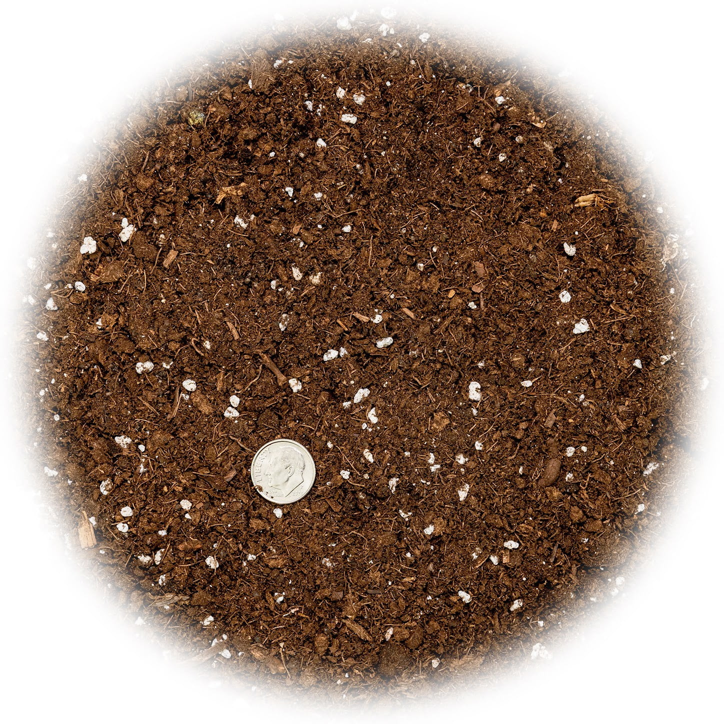 ⭐ PREMIUM Money Tree Potting Soil, Soil Mix for Planting or Repotting Guiana Chestnut, Soil Blended to Properly Grow Money Tree Plants - (5 Quart Bag)