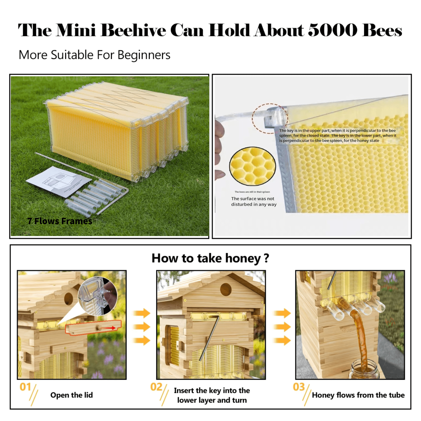 BEE-HIVE フライヤー 6f622802-611f-4b69-a075-
