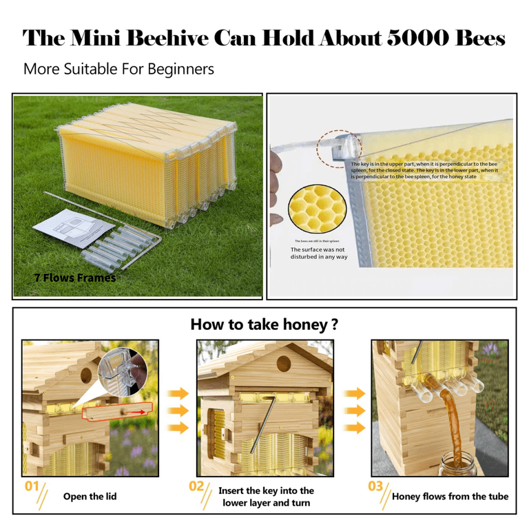 BEE-HIVE フライヤー 81xZkw6UQPL._UF350,350_QL50_.jpg