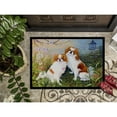 thumbnail image 3 of Carolines Treasures MH1061JMAT Japanese Chin Wasabi and Ginger Door Mat Indoor Rug or Outdoor Welcome Mat 24x36 Doormat, 3 of 4