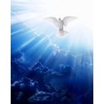thumbnail image 2 of Catholic print picture - HOLY SPIRIT SH2 - 8" x 10" ready to be framed, 2 of 2