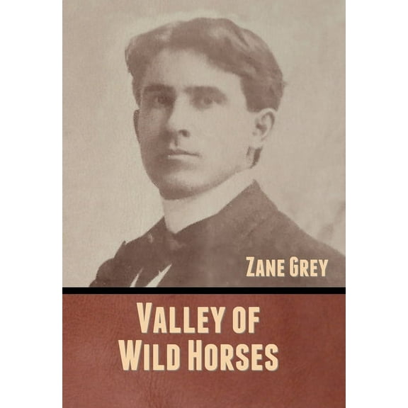 Valley of Wild Horses (Hardcover)