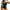Black&Green, variant on Sociala Swimming Costume Women Tummy Control Swimwear Athletic One Piece Swimsuit Racerback Padded Bathing Suit