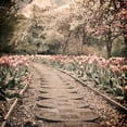 thumbnail image 2 of Prime, Marcus 15x15 White Modern Wood Framed Museum Art Print Titled - Path To Greatness, 2 of 4