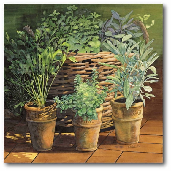 Harb Gallery-Wrapped Canvas Wall Art, 16x16