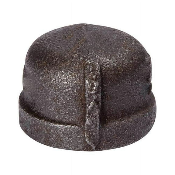 BK Products  Southland  3 in. FPT   Black  Malleable Iron  Cap