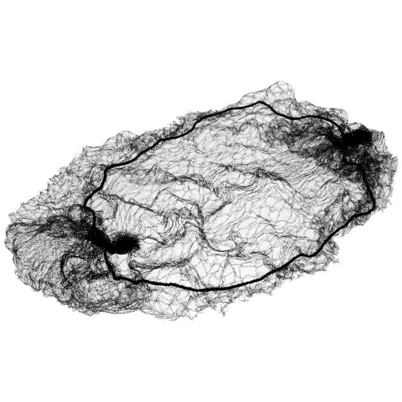 HOMEMAXS 50 Pcs Invisible Hairnet Nets for Women Miss Black