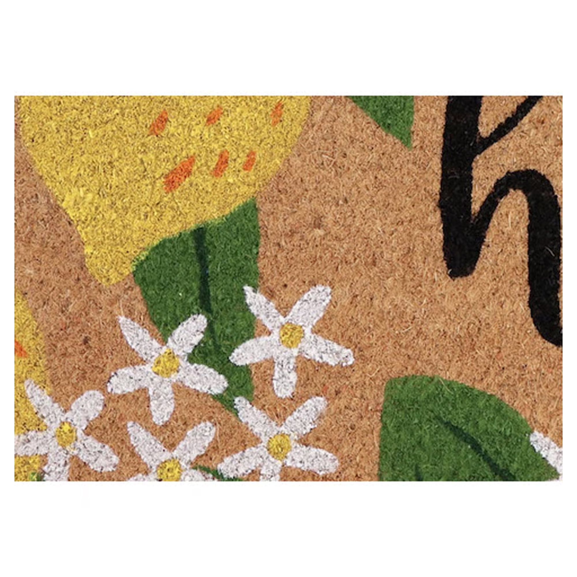 First Concept 18 in. W X 30 in. L Multi-Color Coir Door Mat