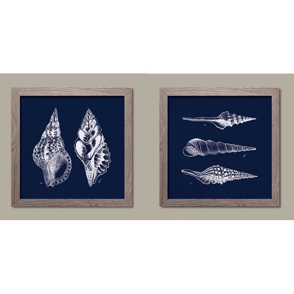 Trendy, Vintage Negative of Sea Shells; Coastal Decor; Two 12x12in Distressed Framed Prints, Ready to Hang! Indigo/White