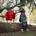 thumbnail image 4 of Hearth & Gear Full Coverage Dog Raincoat With Four Leg | All Weather Pet Raincoat For Small To Medium Dogs ( For Teddy Corgi) Accessory Dog Leash Bike Trailer Dog Accessories Camping Dog Accessories, 4 of 6