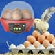 thumbnail image 4 of automática de huevos para 6 huevos, escotils digitales para aves Control automático de temperatura para incubar pollos de , ROJO Rojo Automático Colco Incubadora automática de huevos, 4 of 8