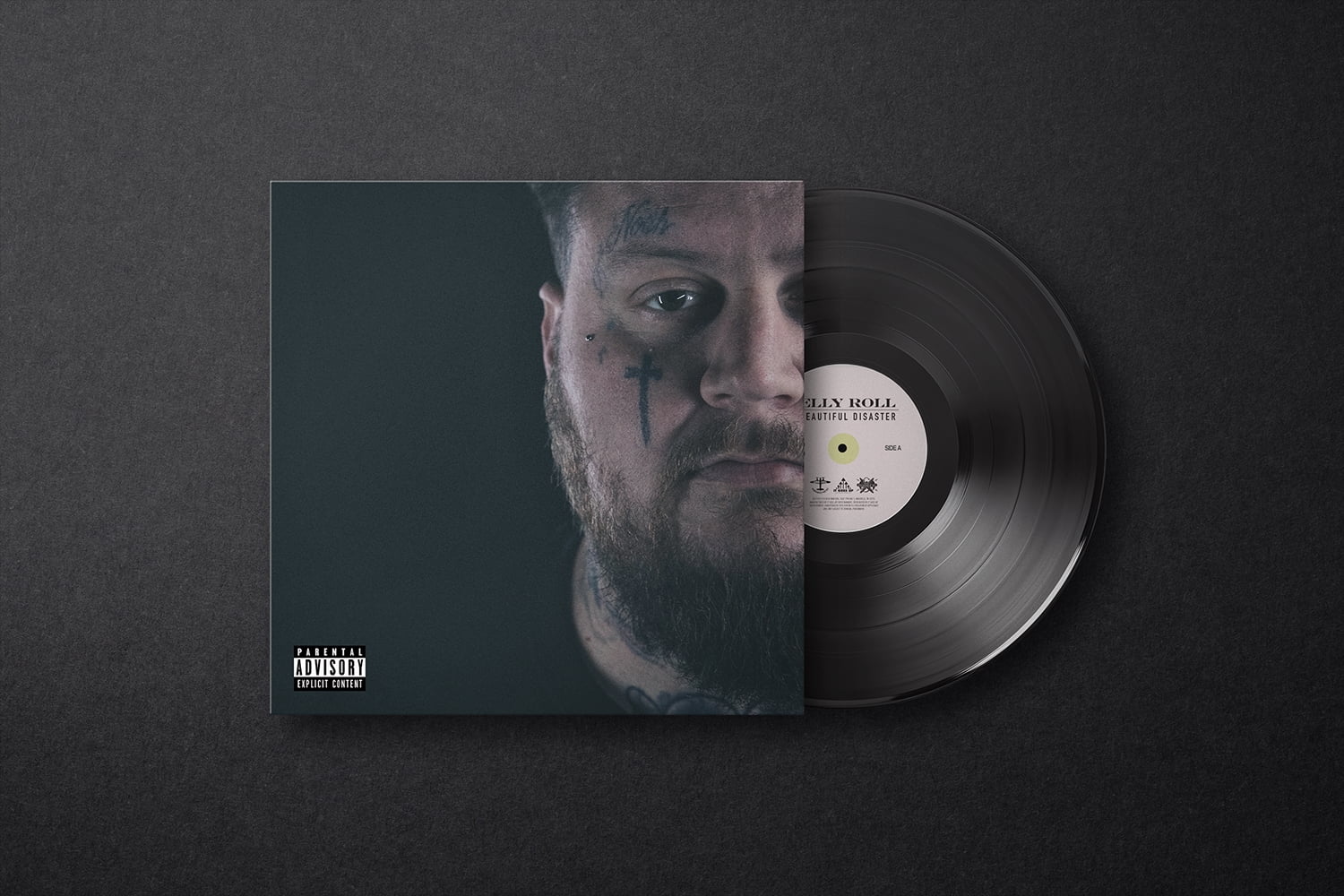 Interscope Records, Vinyl LP, A Great Chaos, Music & Performance