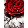 thumbnail image 1 of EverShine DIY Diamond Mosaic Flowers Cross Stitch Diamond Embroidery Rose Rhinestones Art Painting Black And Red Home DecorSquare Drill 45x60cm Gao Jinjia LED, 1 of 2