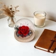 thumbnail image 5 of Preserved Real Flower Glass Dome Eternal Carnation Rose Display For Home Tabletop Decor Gift, 5 of 9