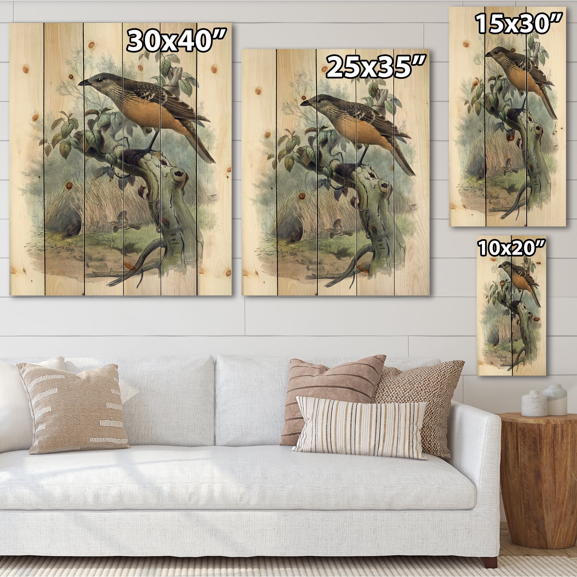 Designart 'The Paradise Birds on a Tree Branch' Traditional Print on Natural Pine Wood