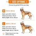 thumbnail image 6 of Dinosaur Skeleton Dog Costume, Prehistoric Bone Pet Costume (Black,40 in) | Costume with Dino Head Cover and Back Skeleton Design, Funny Halloween Dress Up Outfit for Dogs, Puppy Party Cosplay Outfit, 6 of 7