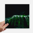 thumbnail image 1 of Photographie nature Autocollant tags Mur Image Ordinateur Portable Autocollant Auto-Adhésif, 1 of 1