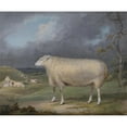 thumbnail image 2 of James Ward 24x20 Gold Ornate Framed and Double Matted Museum Art Print Titled - A Border Leicester Ewe (1795-1800), 2 of 4