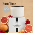 thumbnail image 5 of LAFCO New York 3-Wick Candle, Champagne - 30 oz, 5 of 6