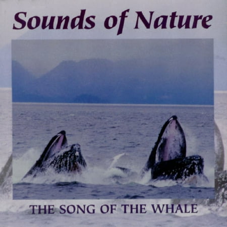 Song Of The Whale, The
