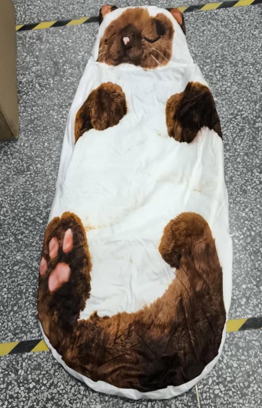 DagobertNiko Adult Plush Cat Printed Sleeping Bag 68.90"× 31.50" Combines Comfort Security, for Camping Home Leisure Activities Washable