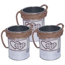 SEWACC 3Pcs Tin Buckets Heart Shaped for Home Gardening and Green Project