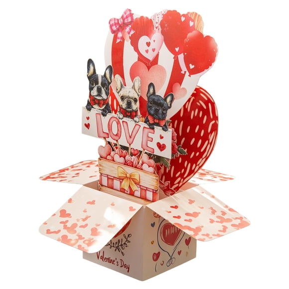 Tarjeta de San Valentín 3D Pop-Up FIAMR Amor Romántico
