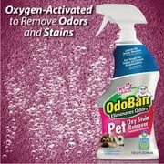 OdoBan Pet Solutions 32oz Spray Oxy Stain Remover, 1 Gallon 3-in-1 Carpet Cleaner Concentrate and 120 Dog Waste Pickup Bags, 160 Fl Oz