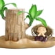 thumbnail image 2 of Plantas en macetas de madera brasileñas con estatuilla de monje Plantas de tocón de árbol hidropónico, 2 of 9
