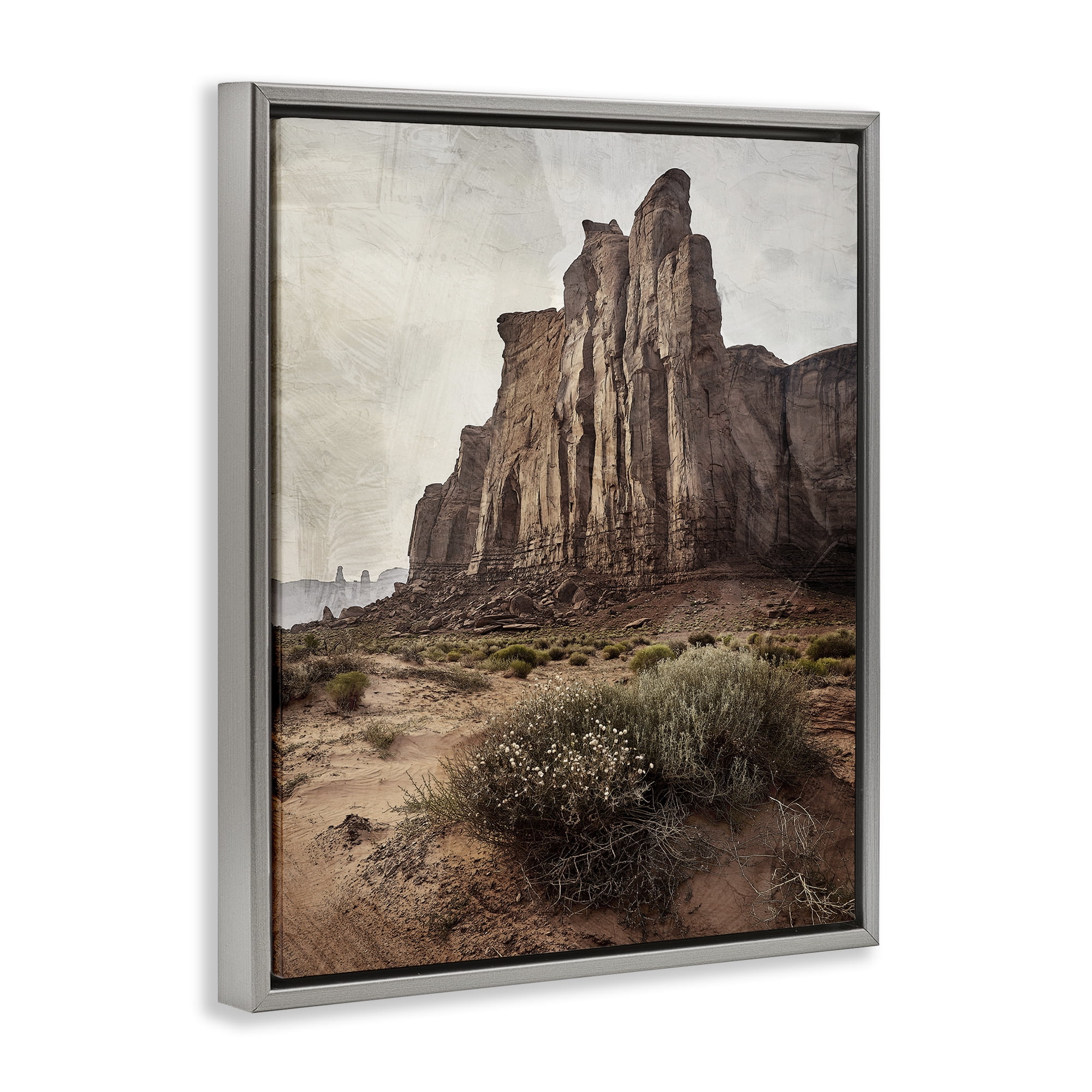 Stupell Industries Desolate Rock View Gray Framed Floater Canvas Wall Art, design by Kim Allen