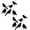 A Clear, variant on Halloween Artificial Crows, Realistic Black Feathered, 18 Pcs Small 3.5 inch Desktop Standing Decors, Spooky Party Atmosphere Props for Haunted House Indoor Outdoor Holiday Decorations